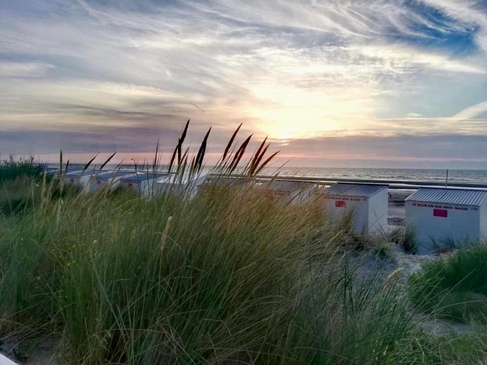 Seayousoon Nieuwpoort-Bad Экстерьер фото